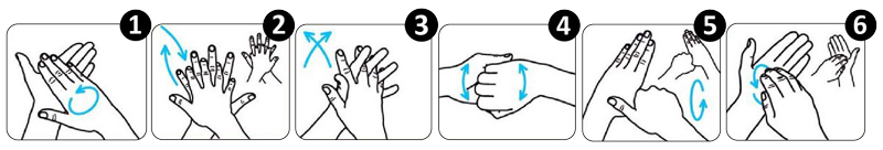 Lavage des Mains Lavage des Mains